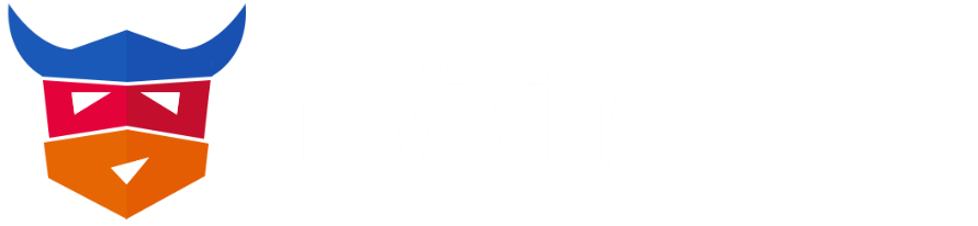 logo ngVikings 2020